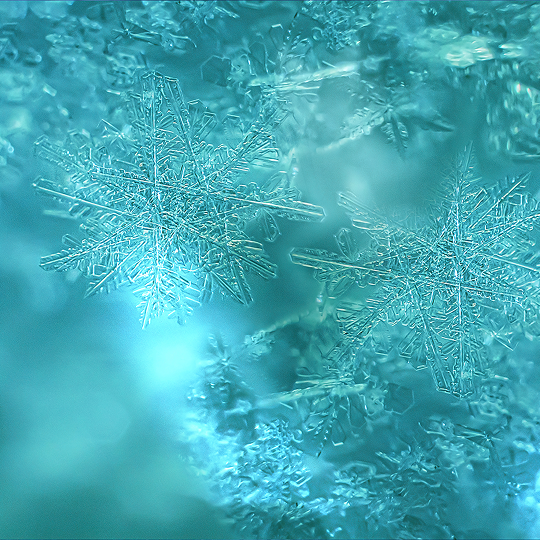 VEEV inPRIME Mentă - card de aromă pentru vapat