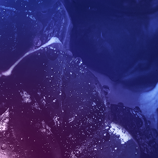 VEEV inPRIME Zmeură Albastră - card de aromă pentru vapat