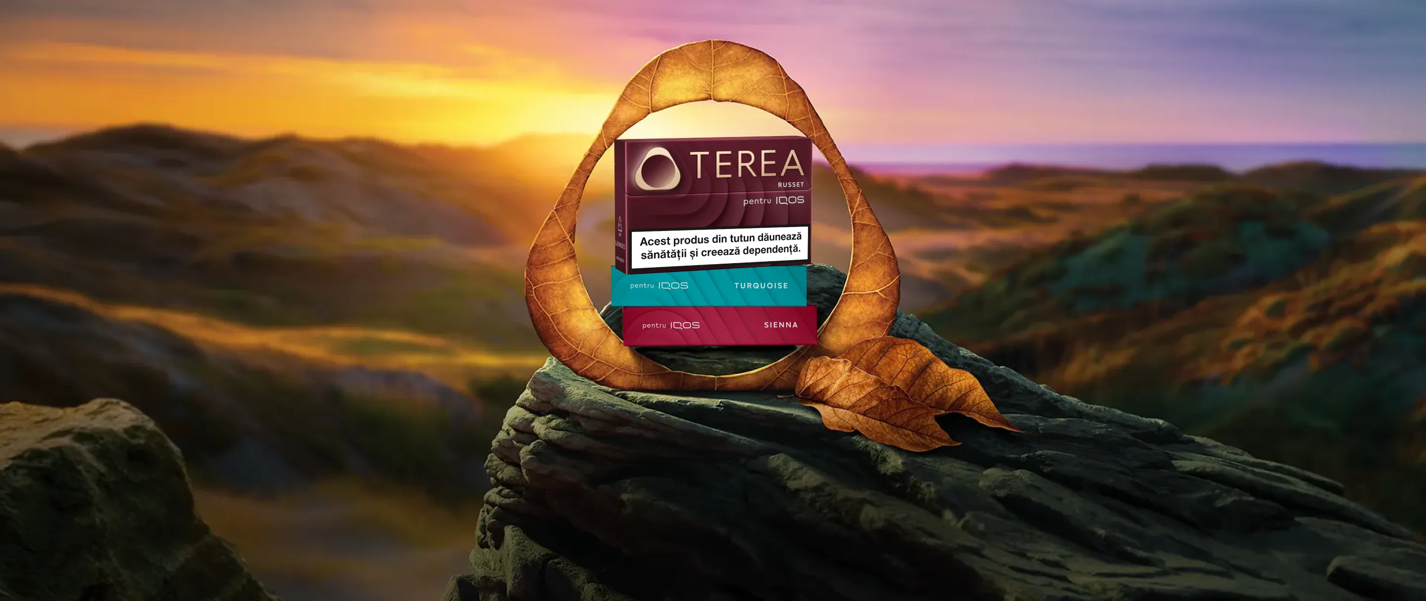 Discopera terea