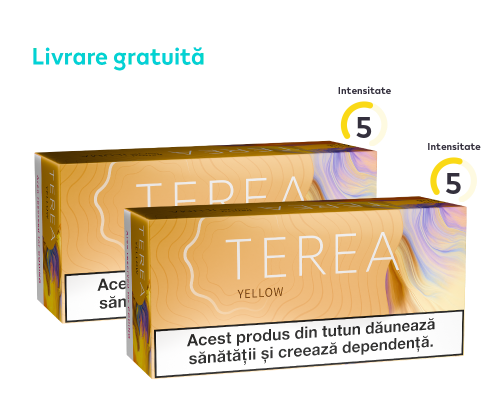 TEREA™ Tobacco Double