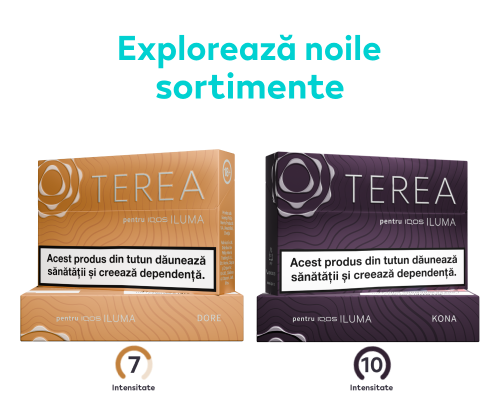 Set explorare TEREA Kona, Dore