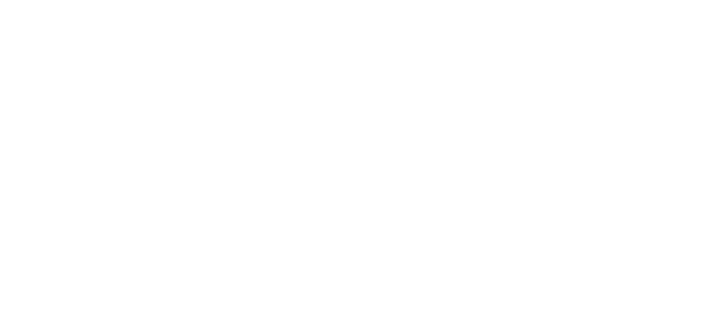 ZYN
